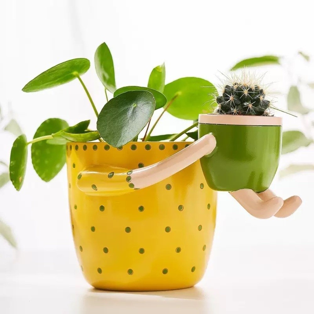 레진 부모-자녀 꽃병 배수구가 있는 꽃꽂이 화분 다육  - Plant Parent Free 리뷰 및 가격