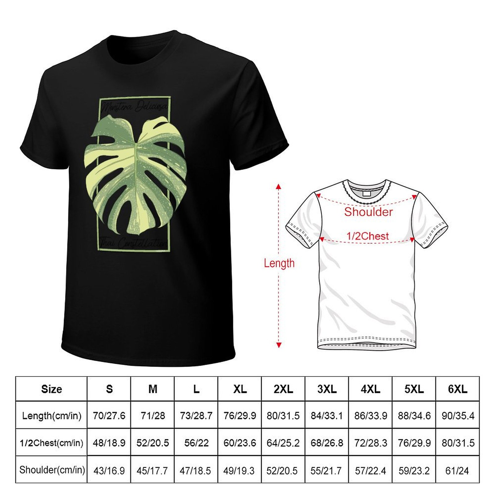 Monstera Thai Constellation Bo - Monstera Thai Constellation 리뷰 및 가격